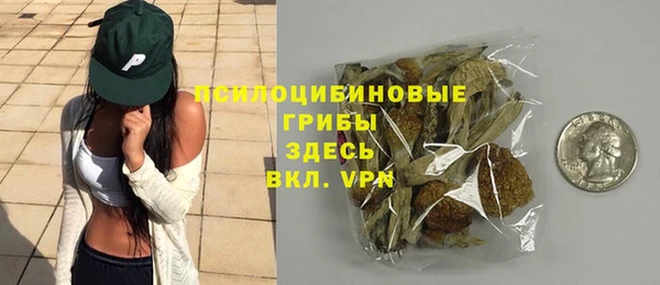 гидра Снежногорск