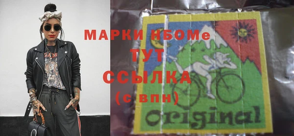 гидра Снежногорск