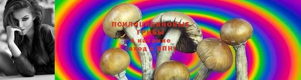 скорость Белокуриха