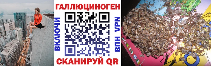 Галлюциногенные грибы Psilocybine cubensis  mega ссылка  Гороховец 