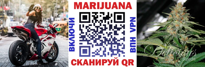 Бошки марихуана THC 21% Гороховец